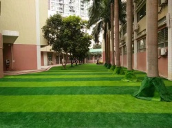 深圳龍華中英文學校 人造草坪